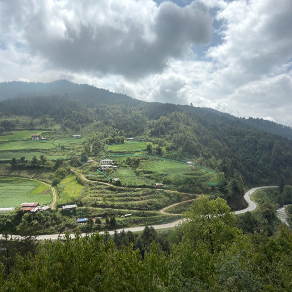 Sephu, Wangdi
